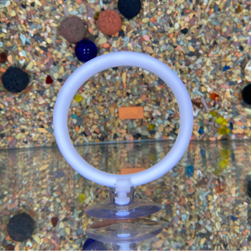 1pcs Plastic Fish Tank Aquariu - Gymnastics Rings recensie en prijs