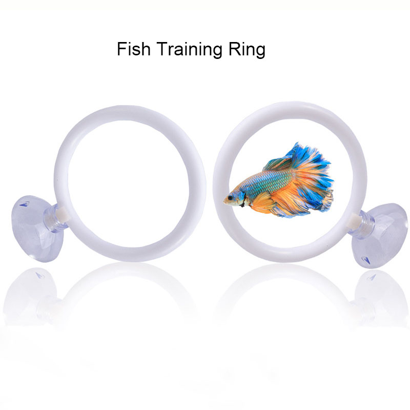 1pcs Plastic Fish Tank Aquariu - Gymnastics Rings recensie en prijs