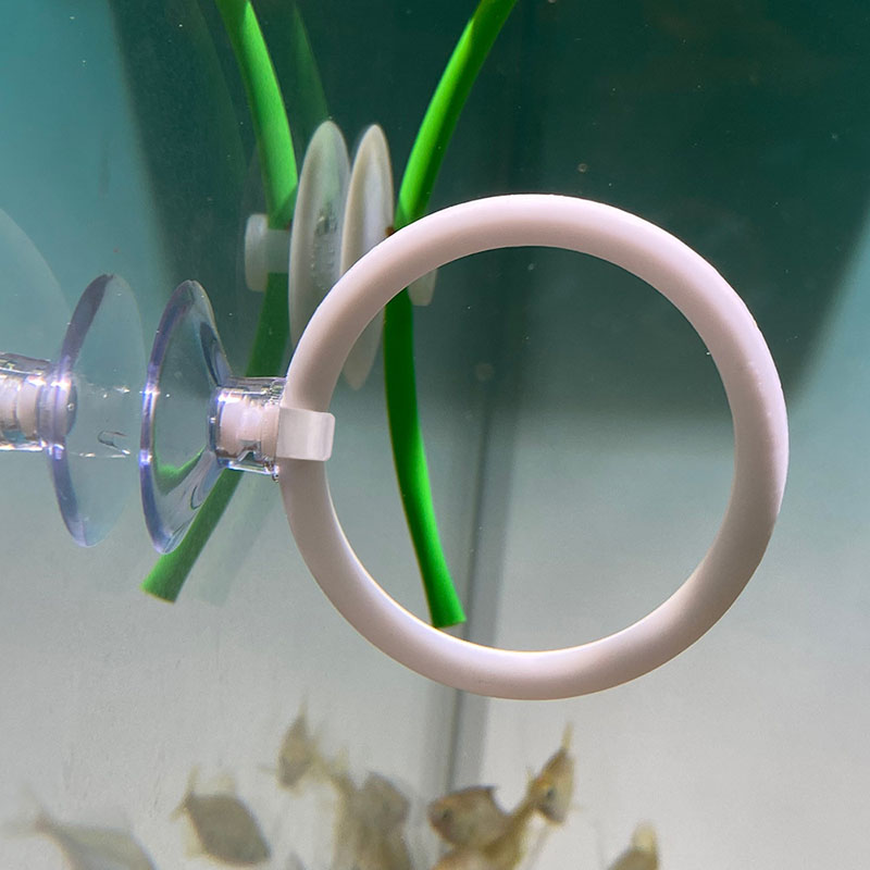 1pcs Plastic Fish Tank Aquariu - Gymnastics Rings recensie en prijs